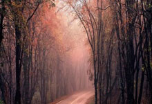 乌拉圭2022世界杯阵容，老炮压阵+新星崛起，能否续写荣光？